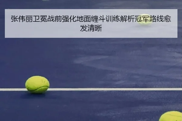 张伟丽卫冕战前强化地面缠斗训练解析冠军路线愈发清晰 - haobosports